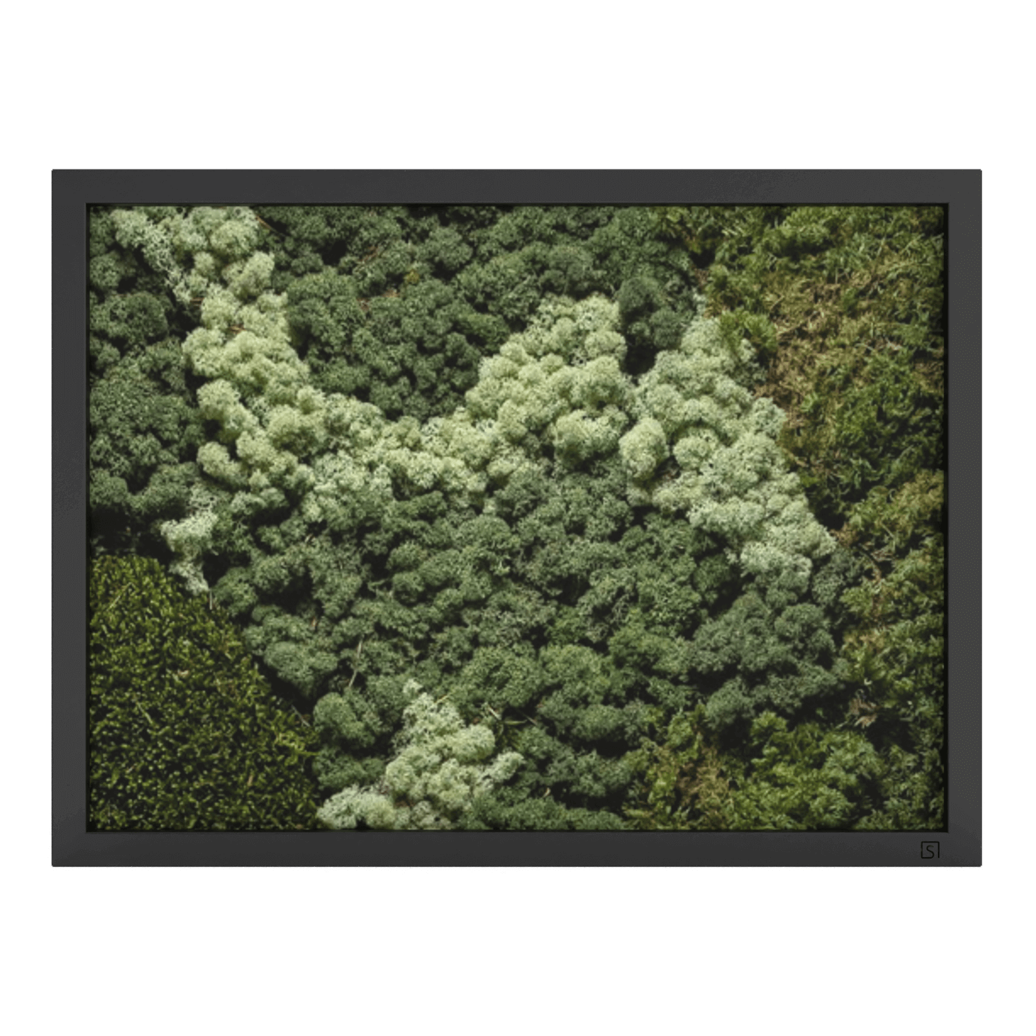 Mos schilderij landscape zwart