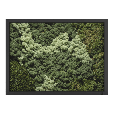 Mos schilderij landscape zwart