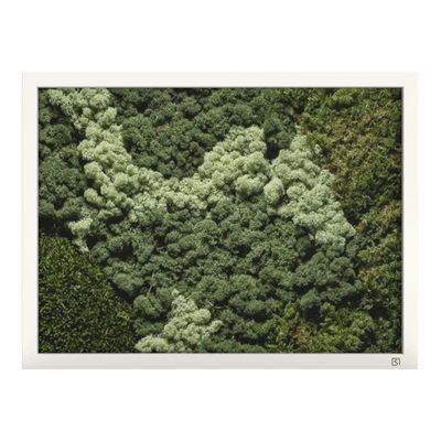 Mos wanddecoratie landscape wit