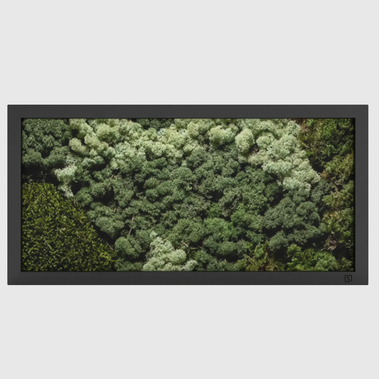 Tableau de mousse paysage noir