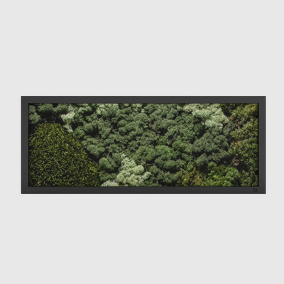 Tableau de mousse paysage noir