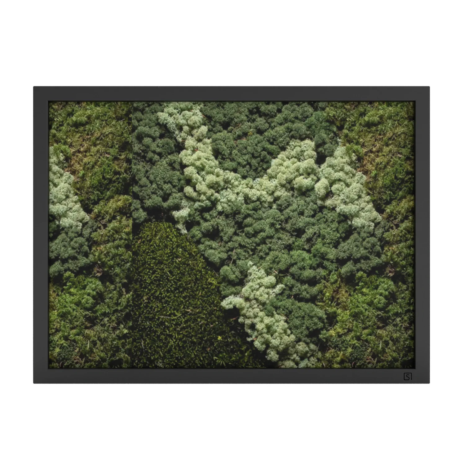 Tableau de mousse paysage noir