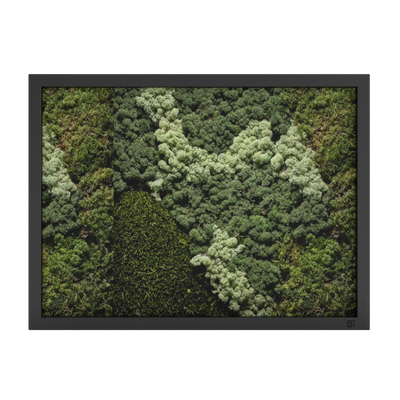Tableau de mousse paysage noir