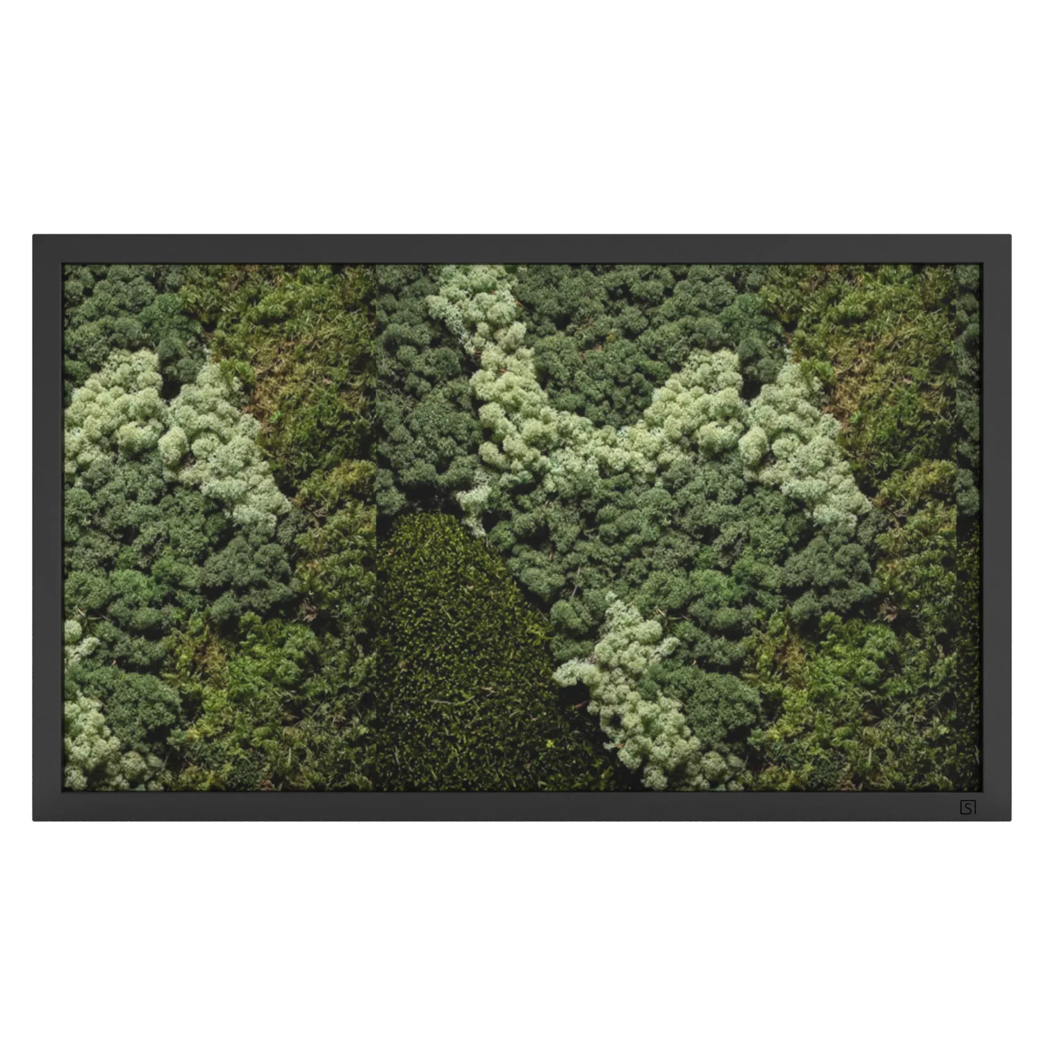 Tableau de mousse paysage noir