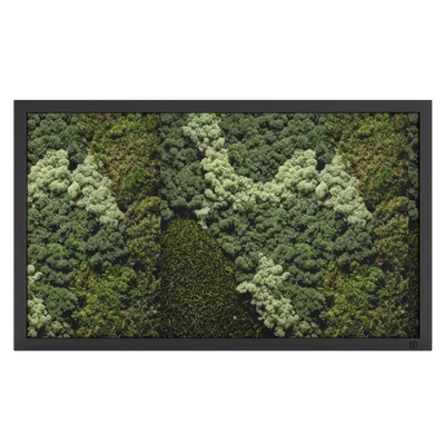Tableau de mousse paysage noir