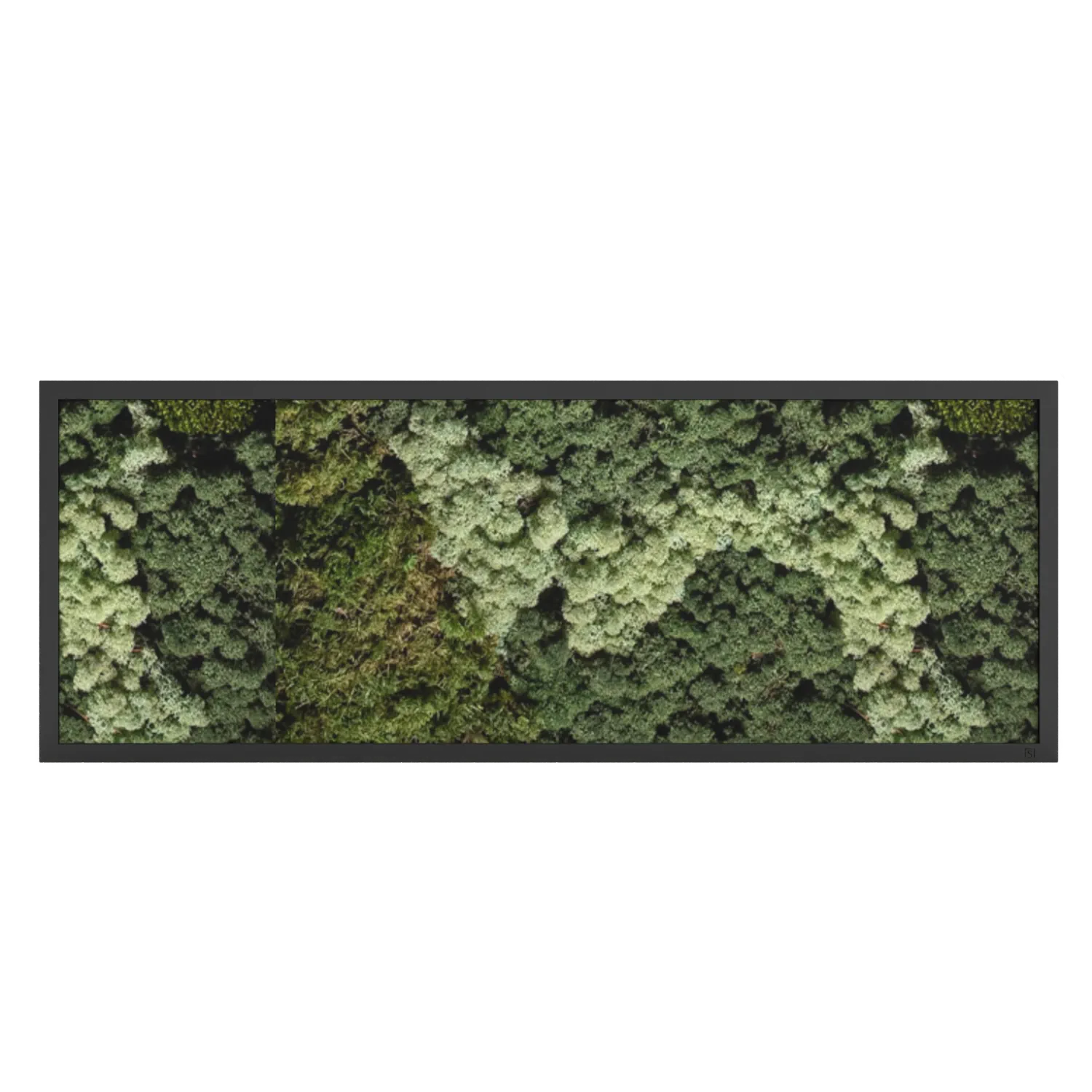 Tableau de mousse paysage noir