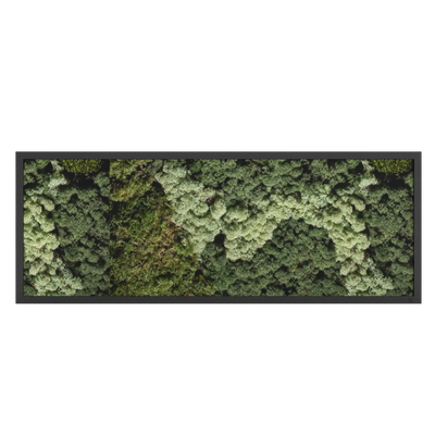Tableau de mousse paysage noir