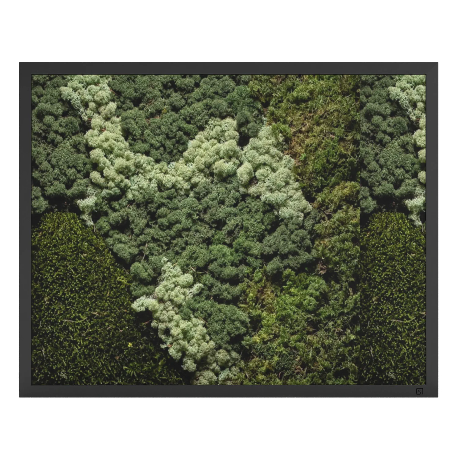 Tableau de mousse paysage noir