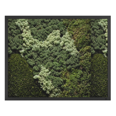 Tableau de mousse paysage noir