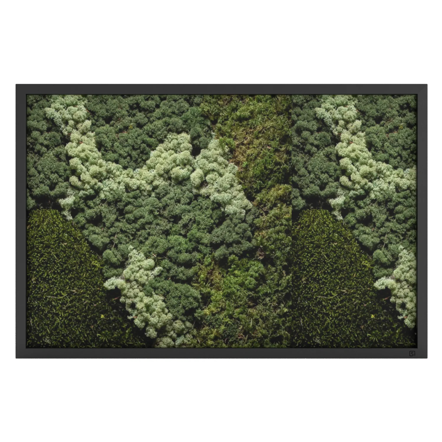 Tableau de mousse paysage noir