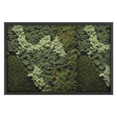 Tableau de mousse paysage noir