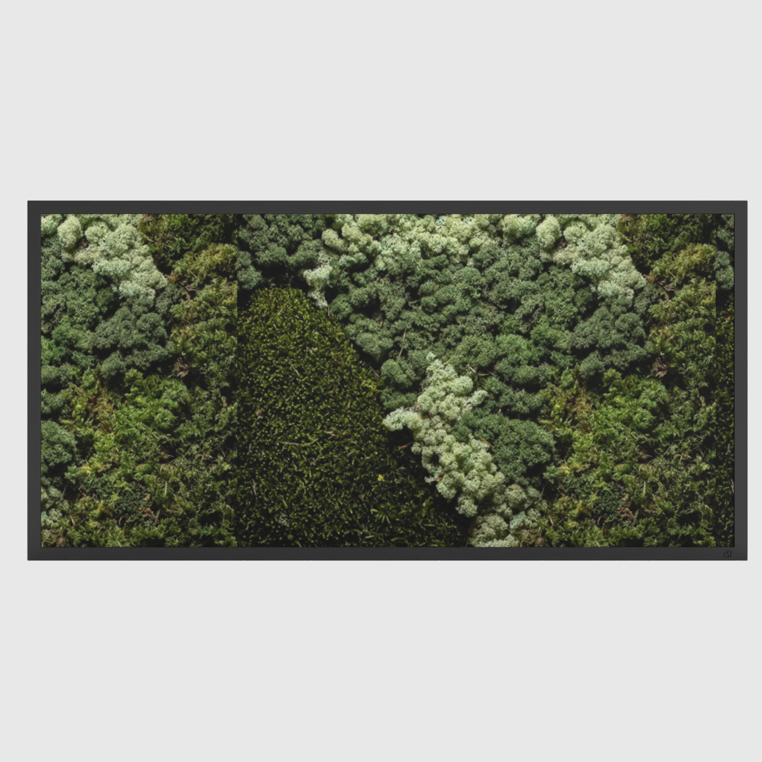 Tableau de mousse paysage noir
