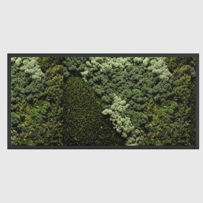 Tableau de mousse paysage noir