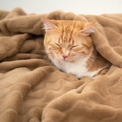 Cozy Bliss Luxe Pluche Throw Deken