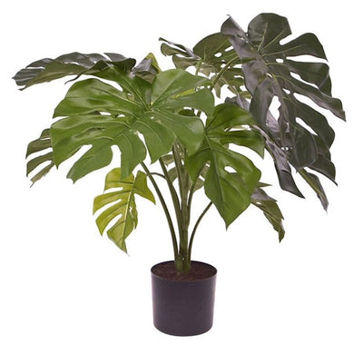 Kunstplant Monstera green H80 cm (-leeg- H80 cm)