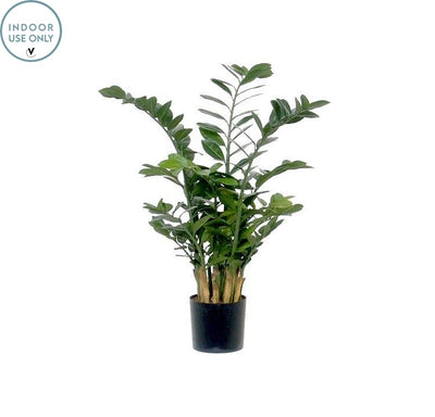 Kunstplant Zamioculcas green H100 cm (Green H100 cm)