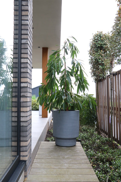 Pot Almstok L grey Ø50 x H65 cm  (Grey Ø50 x H65 cm)