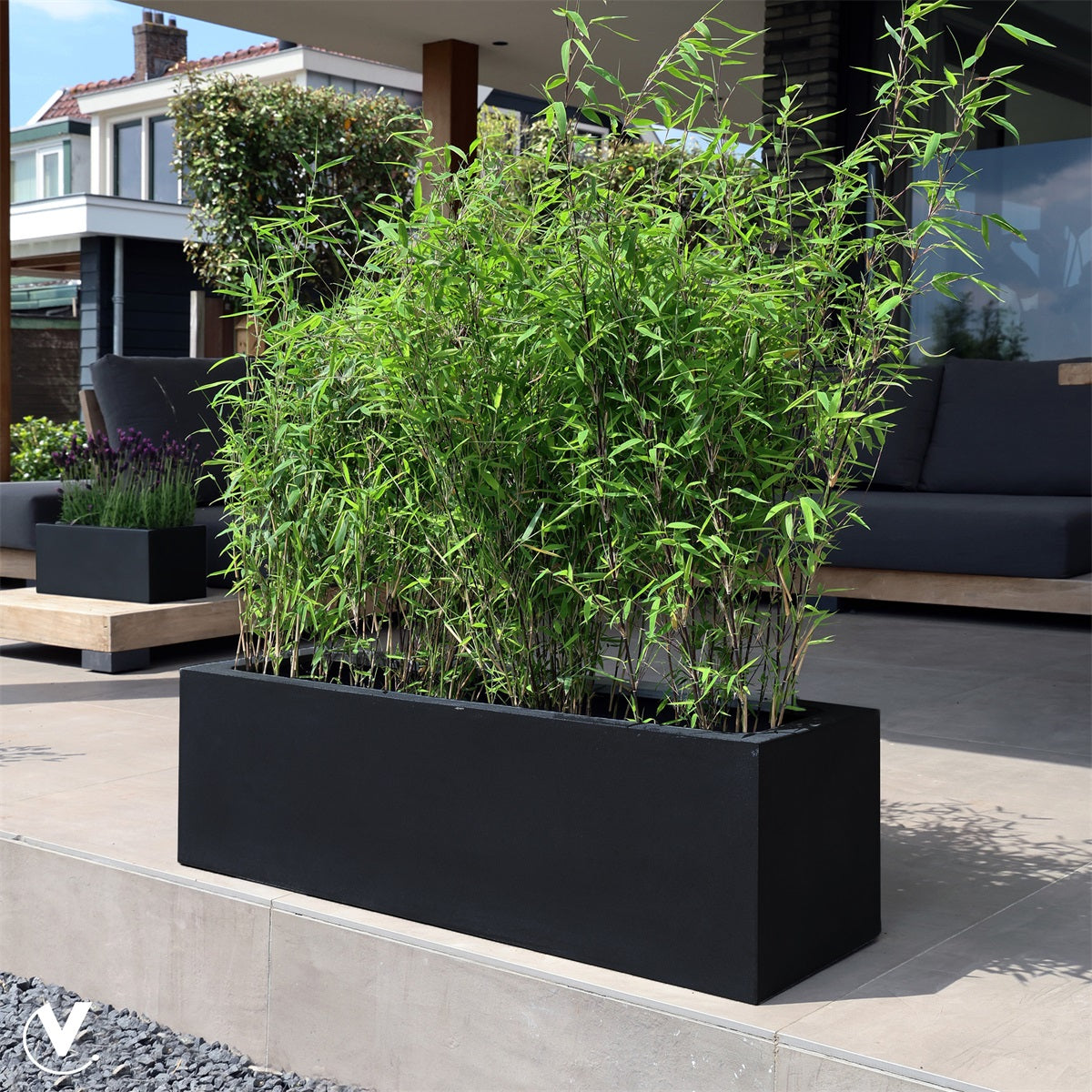Pot Amazone L black L100 x B30 x H30 cm  (Black L100 x B30 x H30 cm)