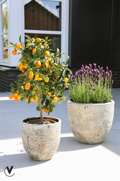 Pot Laki relic beige Ø36/35 x H34/25 cm 2 stuks (Relic Beige Ø36/35 x H34/25 cm)
