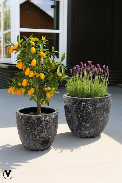 Pot Laki relic black Ø36/35 x H34/25 cm 2 stuks (Relic Black Ø36/35 x H34/25 cm)