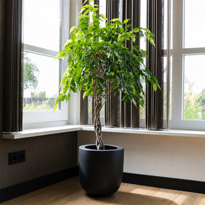 Pot Ducos Zwart