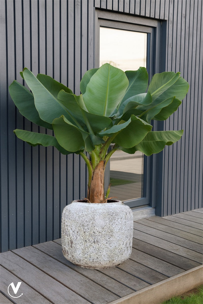 Pot Arenal Relic beige