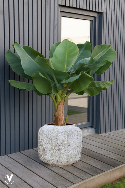 Pot Arenal M Ø59 x H50cm Relic Beige 2